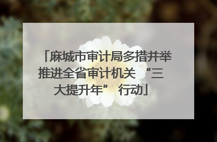 麻城市审计局多措并举推进全省审计机关 “三大提升年” 行动