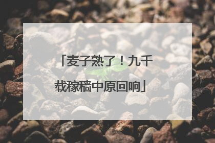 麦子熟了！九千载稼穑中原回响