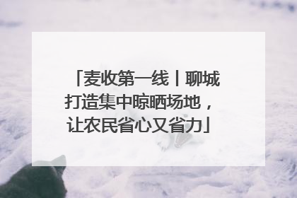 麦收第一线丨聊城打造集中晾晒场地，让农民省心又省力