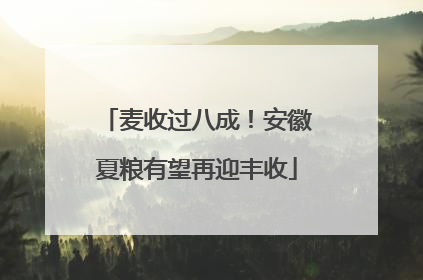 麦收过八成！安徽夏粮有望再迎丰收