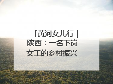 黄河女儿行｜陕西：一名下岗女工的乡村振兴“家政兵法”