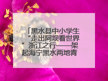 黑水县中小学生“走出阿坝看世界”浙江之行——架起海宁黑水两地青少年交往交流交融新桥梁