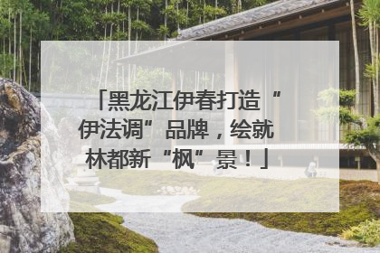黑龙江伊春打造“伊法调”品牌，绘就林都新“枫”景！