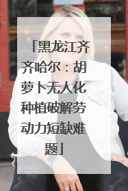黑龙江齐齐哈尔：胡萝卜无人化种植破解劳动力短缺难题