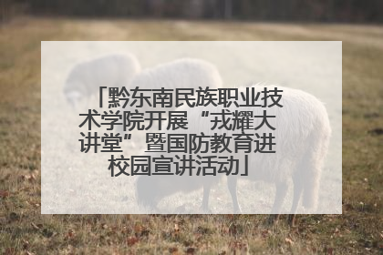 黔东南民族职业技术学院开展“戎耀大讲堂”暨国防教育进校园宣讲活动