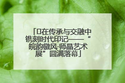 ﻿在传承与交融中镌刻时代印记——“皖韵徽风·师晶艺术展”圆满落幕