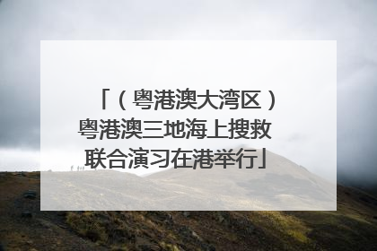 （粤港澳大湾区）粤港澳三地海上搜救联合演习在港举行