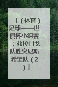 （体育）足球——世俱杯小组赛：弗拉门戈队胜突尼斯希望队（2）
