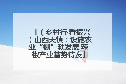 （乡村行·看振兴）山西天镇：设施农业“棚”勃发展 辣椒产业蓄势待发