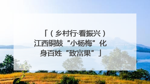 （乡村行·看振兴）江西铜鼓“小杨梅”化身百姓“致富果”