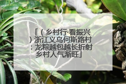 （乡村行·看振兴）浙江义乌何斯路村：龙粽越包越长折射乡村人气渐旺