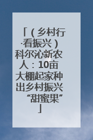 （乡村行·看振兴）科尔沁新农人：10亩大棚起家种出乡村振兴“甜蜜果”