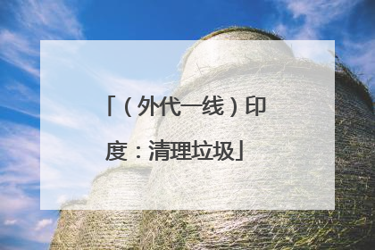 （外代一线）印度：清理垃圾