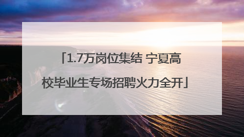 1.7万岗位集结 宁夏高校毕业生专场招聘火力全开