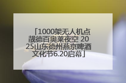1000架无人机点靓德百奥莱夜空 2025山东德州燕京啤酒文化节6.20启幕