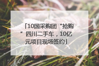 10国采购团“抢购”四川二手车，10亿元项目现场签约