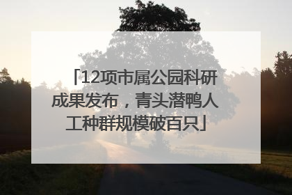 12项市属公园科研成果发布，青头潜鸭人工种群规模破百只