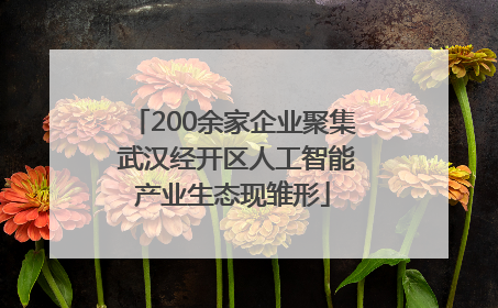 200余家企业聚集 武汉经开区人工智能产业生态现雏形