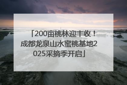 200亩桃林迎丰收！成都龙泉山水蜜桃基地2025采摘季开启