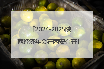 2024-2025陕西经济年会在西安召开