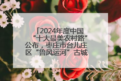 2024年度中国“十大最美农村路”公布，枣庄市台儿庄区“鲁风运河”古城文化廊道上榜！