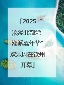 2025“浪漫北部湾 潮派嘉年华”欢乐周在钦州开幕