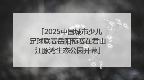 2025中国城市少儿足球联赛岳阳预赛在君山江豚湾生态公园开幕