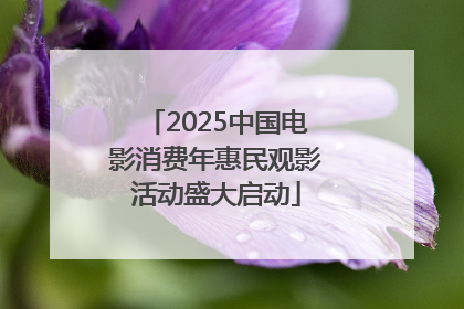 2025中国电影消费年惠民观影活动盛大启动