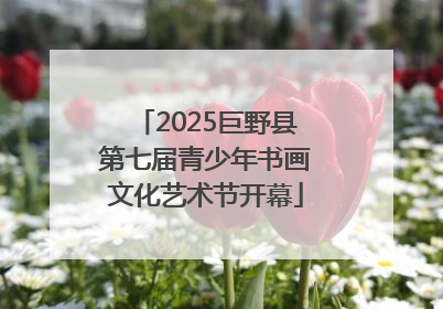 2025巨野县第七届青少年书画文化艺术节开幕