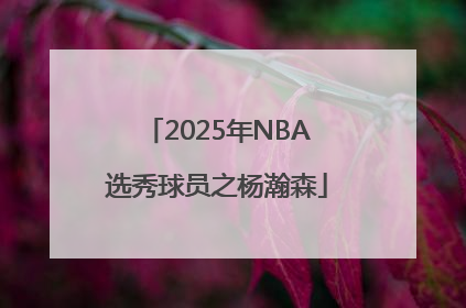 2025年NBA选秀球员之杨瀚森