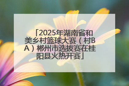 2025年湖南省和美乡村篮球大赛（村BA）郴州市选拔赛在桂阳县火热开赛