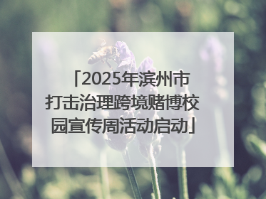 2025年滨州市打击治理跨境赌博校园宣传周活动启动