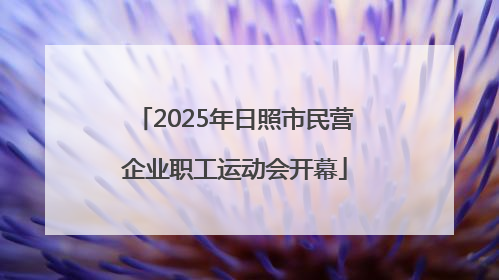 2025年日照市民营企业职工运动会开幕