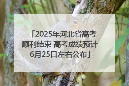 2025年河北省高考顺利结束 高考成绩预计6月25日左右公布