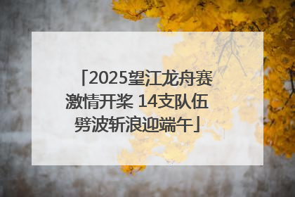 2025望江龙舟赛激情开桨 14支队伍劈波斩浪迎端午