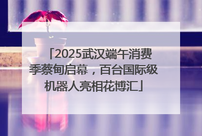 2025武汉端午消费季蔡甸启幕，百台国际级机器人亮相花博汇