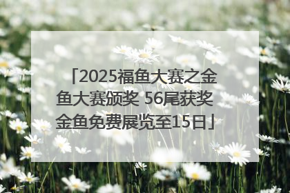 2025福鱼大赛之金鱼大赛颁奖 56尾获奖金鱼免费展览至15日