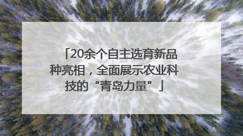 20余个自主选育新品种亮相，全面展示农业科技的“青岛力量”