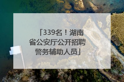339名！湖南省公安厅公开招聘警务辅助人员