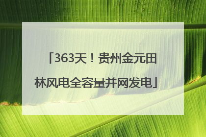 363天！贵州金元田林风电全容量并网发电