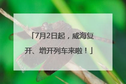 7月2日起，威海复开、增开列车来啦！