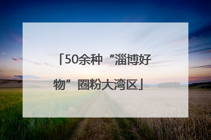 50余种“淄博好物”圈粉大湾区