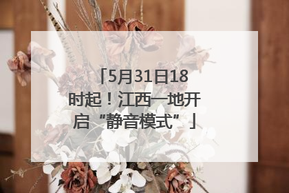 5月31日18时起！江西一地开启“静音模式”