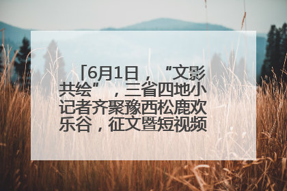 6月1日，“文影共绘”，三省四地小记者齐聚豫西松鹿欢乐谷，征文暨短视频大赛精彩启幕！