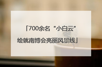 700余名“小白云”绘就南博会亮丽风景线