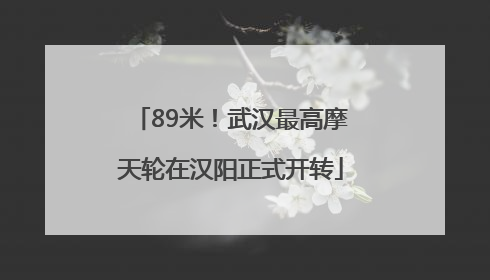 89米！武汉最高摩天轮在汉阳正式开转