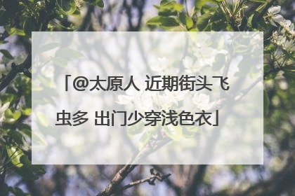 @太原人 近期街头飞虫多 出门少穿浅色衣