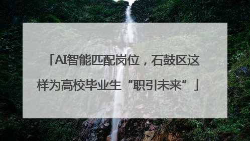 AI智能匹配岗位，石鼓区这样为高校毕业生“职引未来”