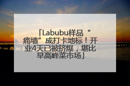 Labubu样品“痛墙”成打卡地标！开业4天已被挤爆，堪比早高峰菜市场