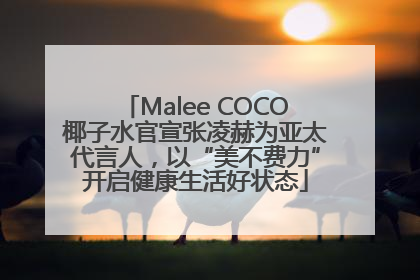 Malee COCO椰子水官宣张凌赫为亚太代言人，以“美不费力”开启健康生活好状态